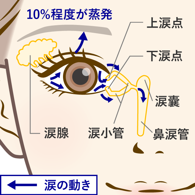 涙道疾患